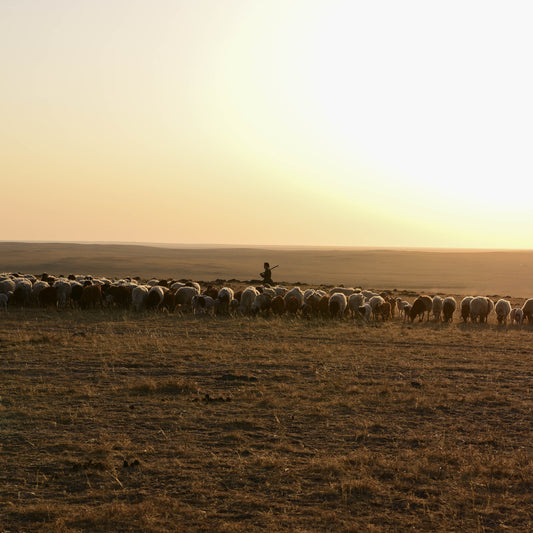 Spring in Mongolian countryside Part 3