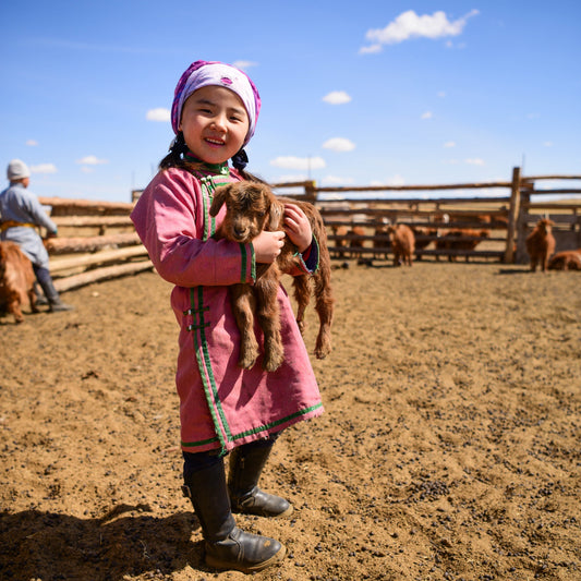 Spring in Mongolian countryside Part 1