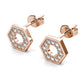 "Present" earrings